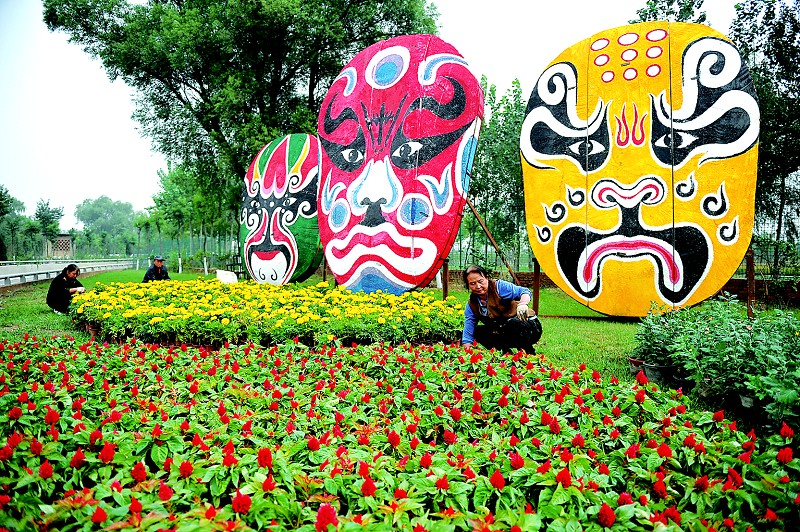 ���ܲ��ù���