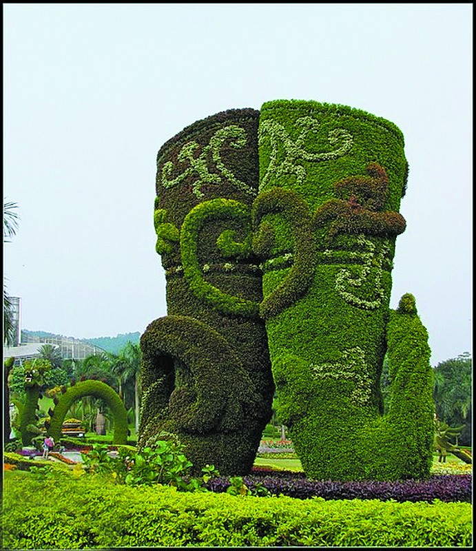 ���ܲ��ù���