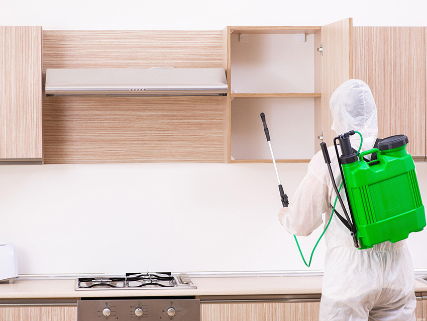 ɱ�棨������