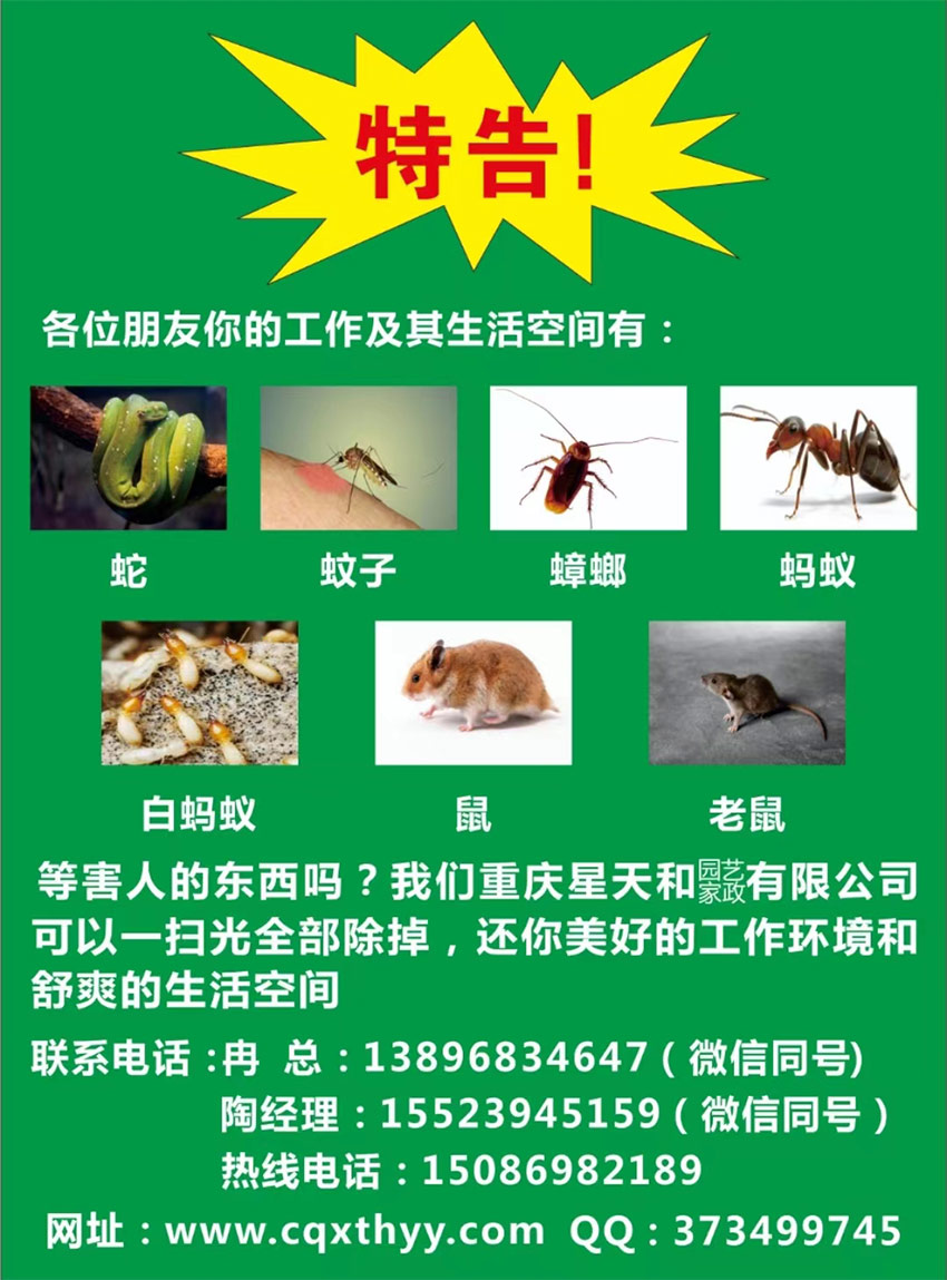 ɱ�棨�������ظ�